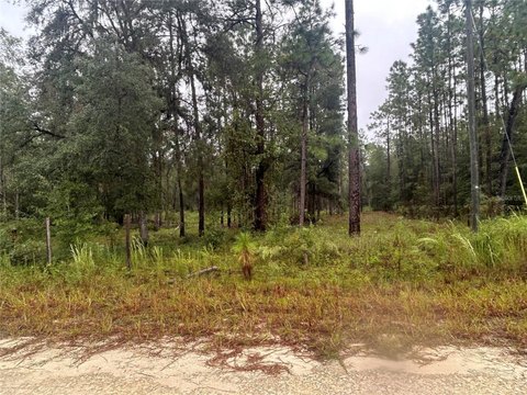 Land, BRONSON, FL