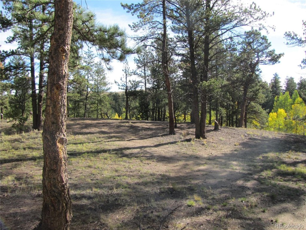 Picture 18