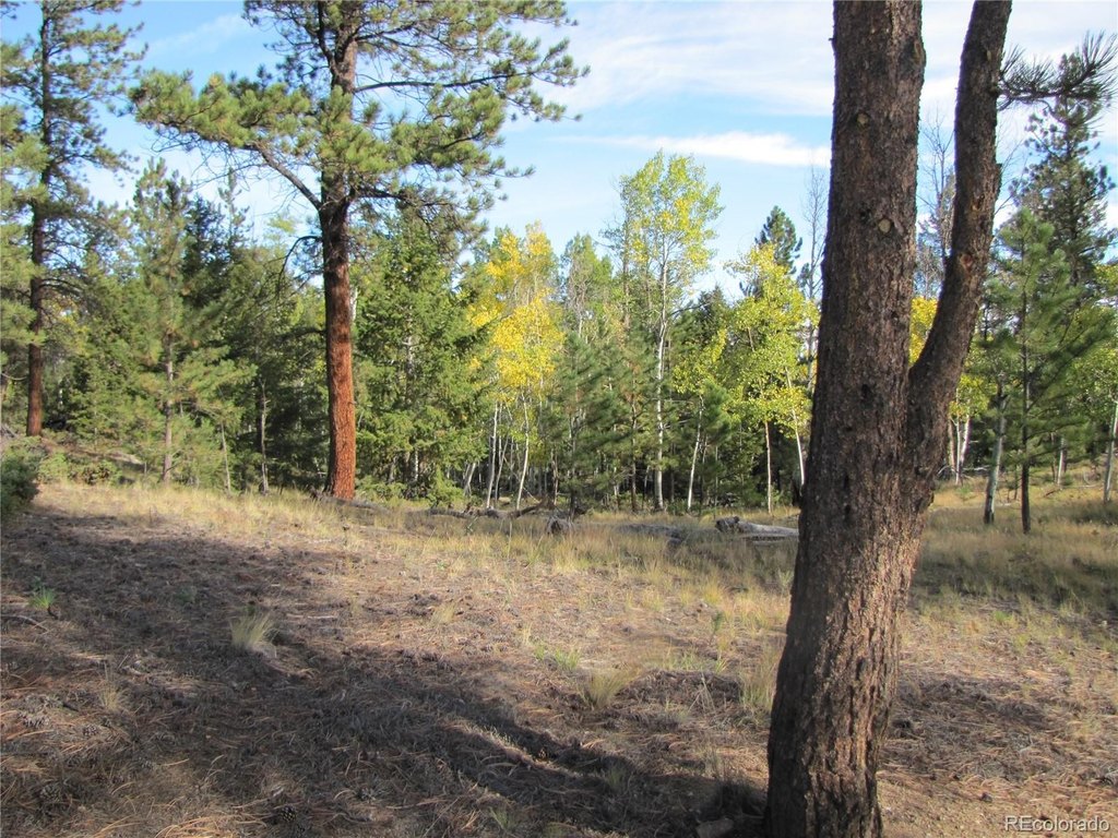 Picture 16