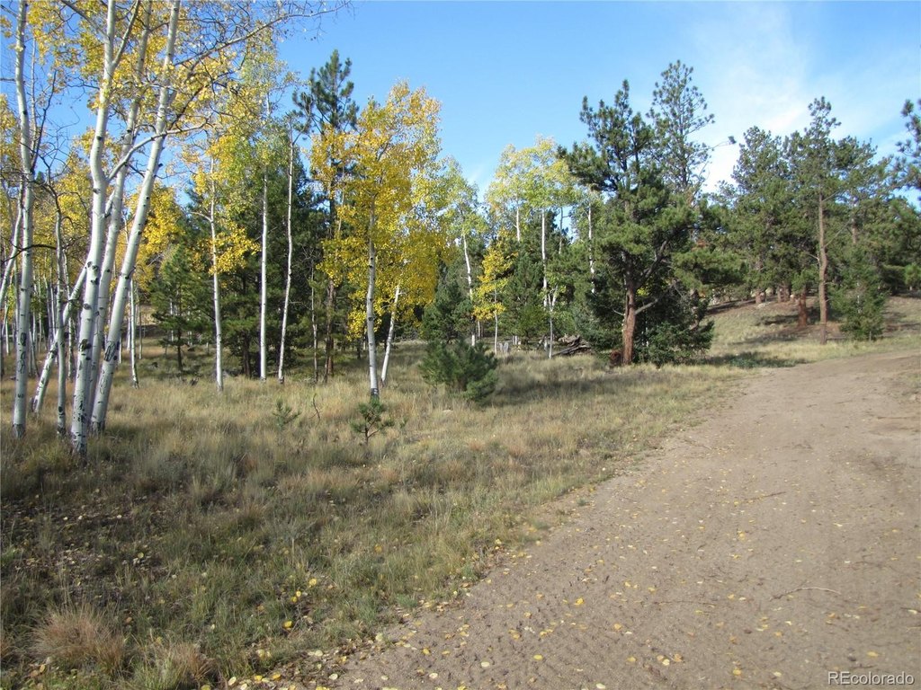 Picture 7