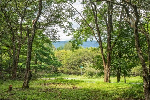 Lots/Land, Dryfork, WV
