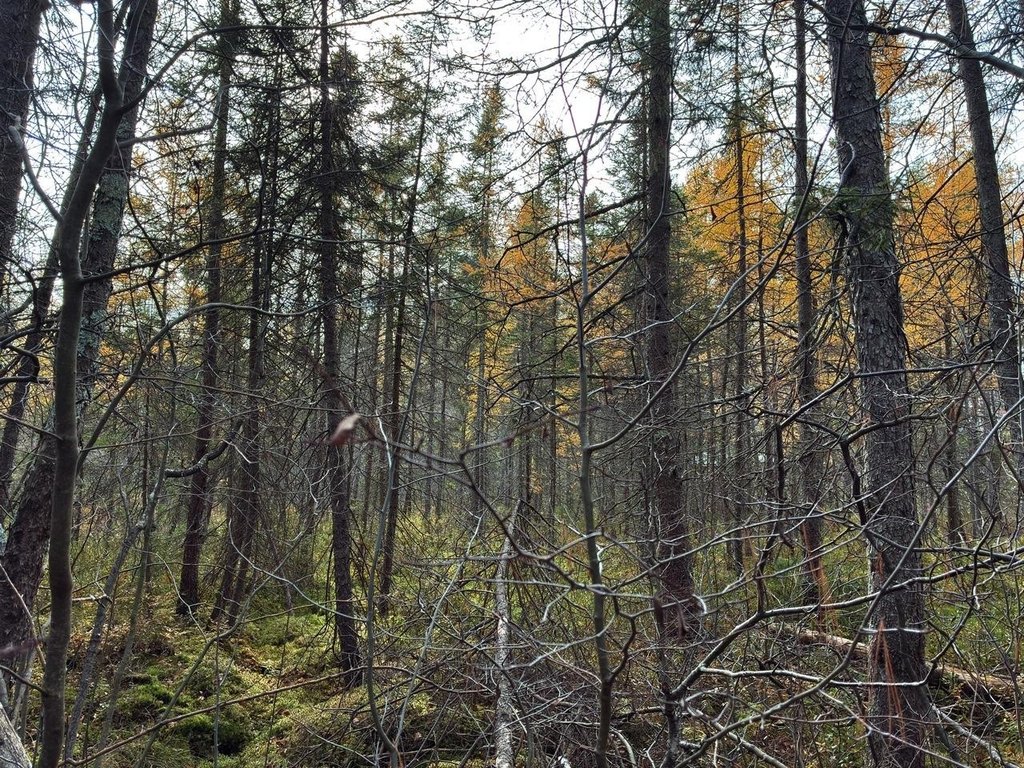 Picture 19