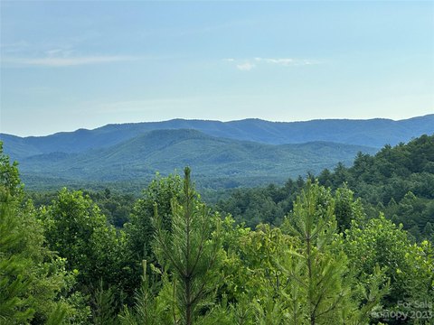 LAND - Bostic, NC