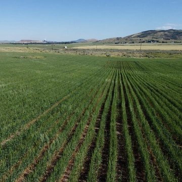 Flat Recreational and Farming Land