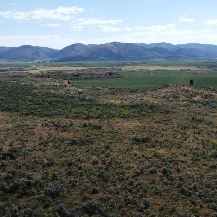 Picture 19