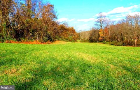 Breathtaking 98-Acre Land Parcel
