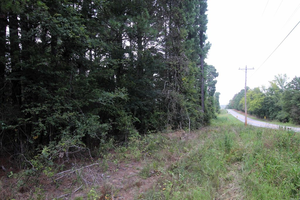 Picture 14