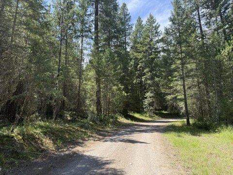 Land, CHEWELAH, WA