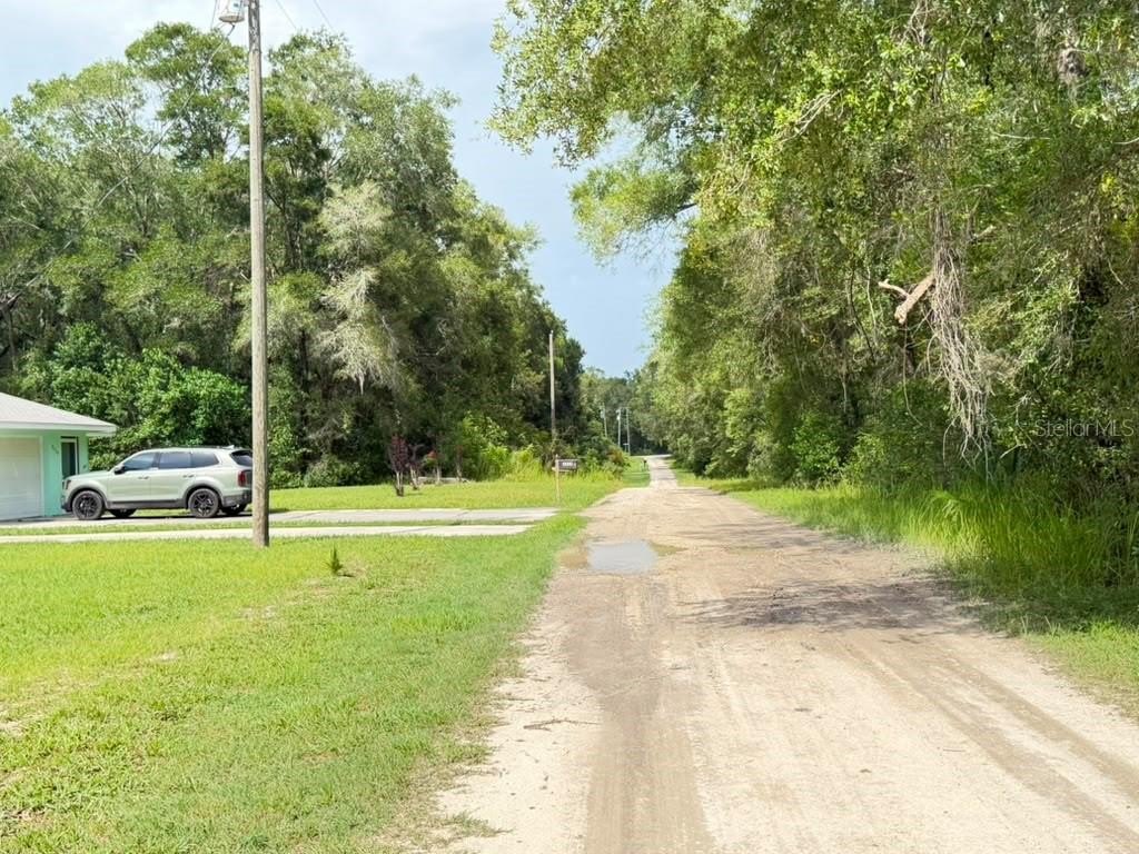 Picture 3
