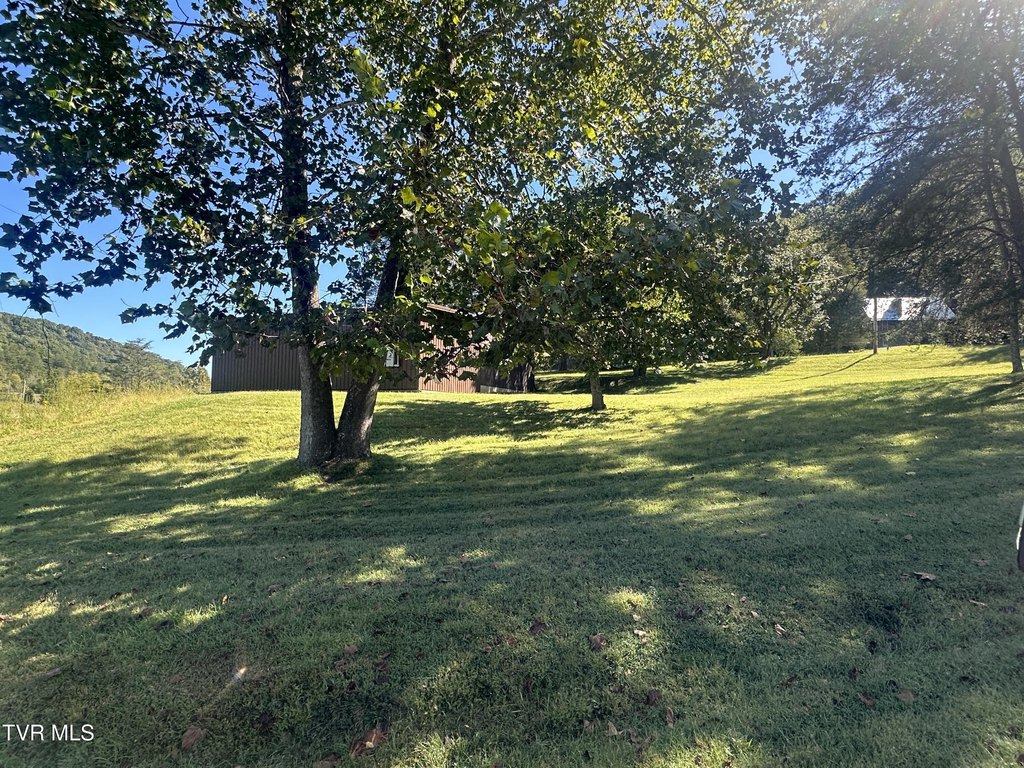 Picture 11