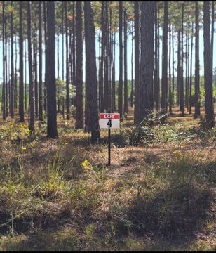 Semi-Restricted Lake Recreation Home Lot