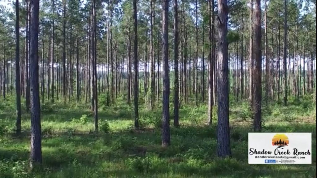 Picture 4