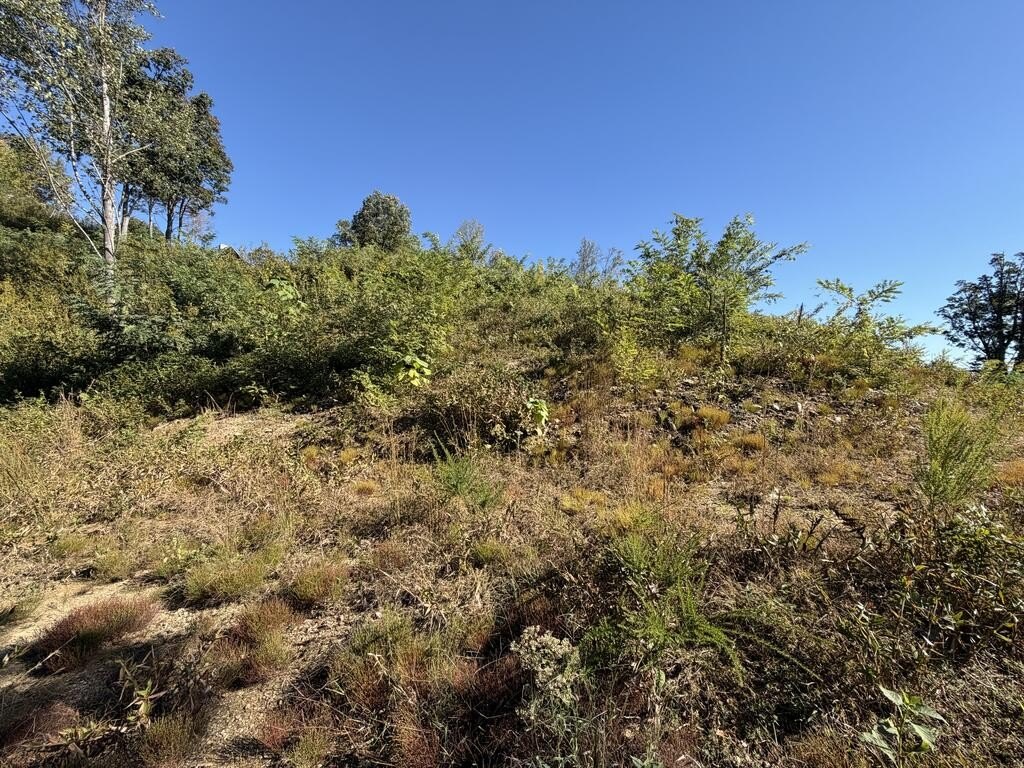 Picture 29