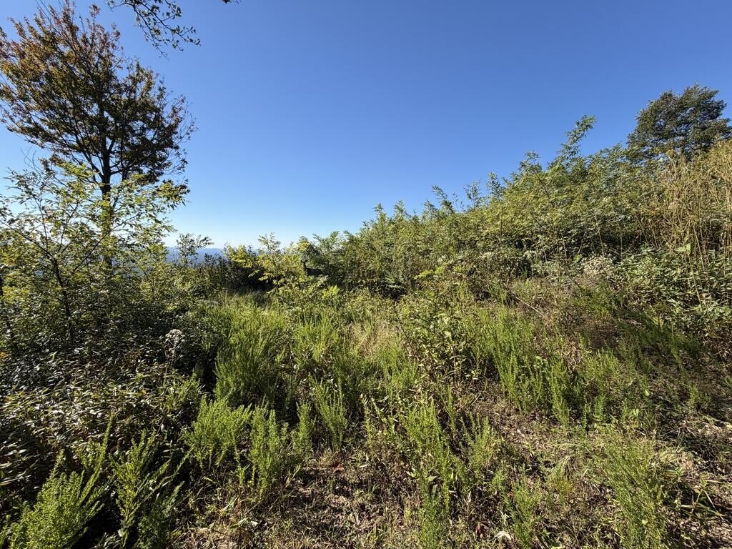 Picture 22