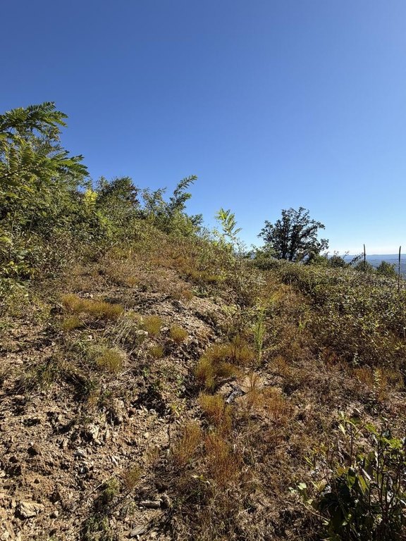Picture 30