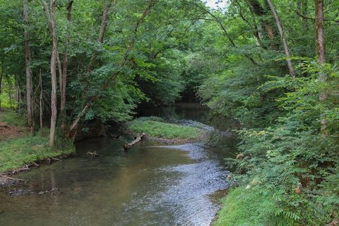 Creekfront Waterfront Land