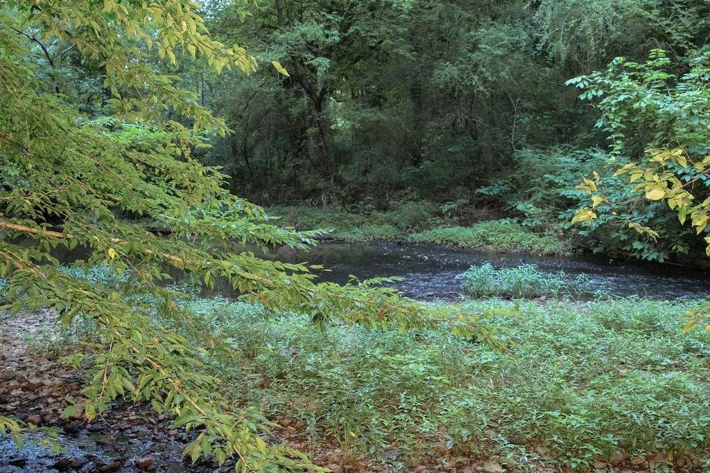 Picture 24