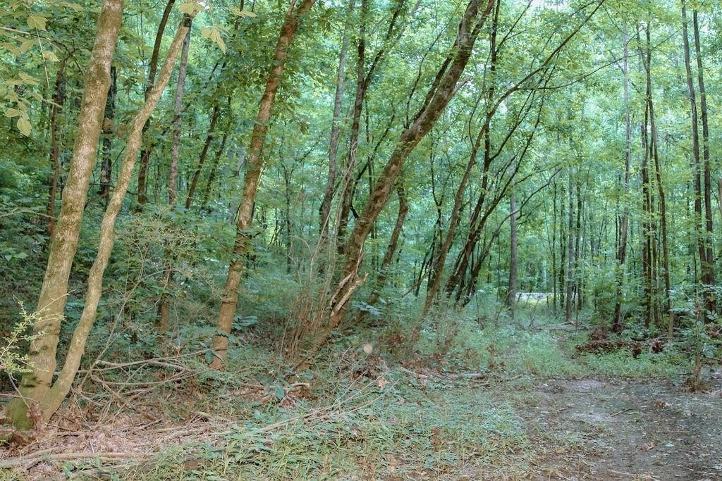 Picture 16