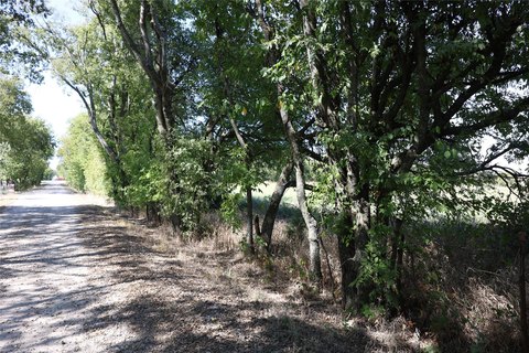 Wooded Recreation Land Tract