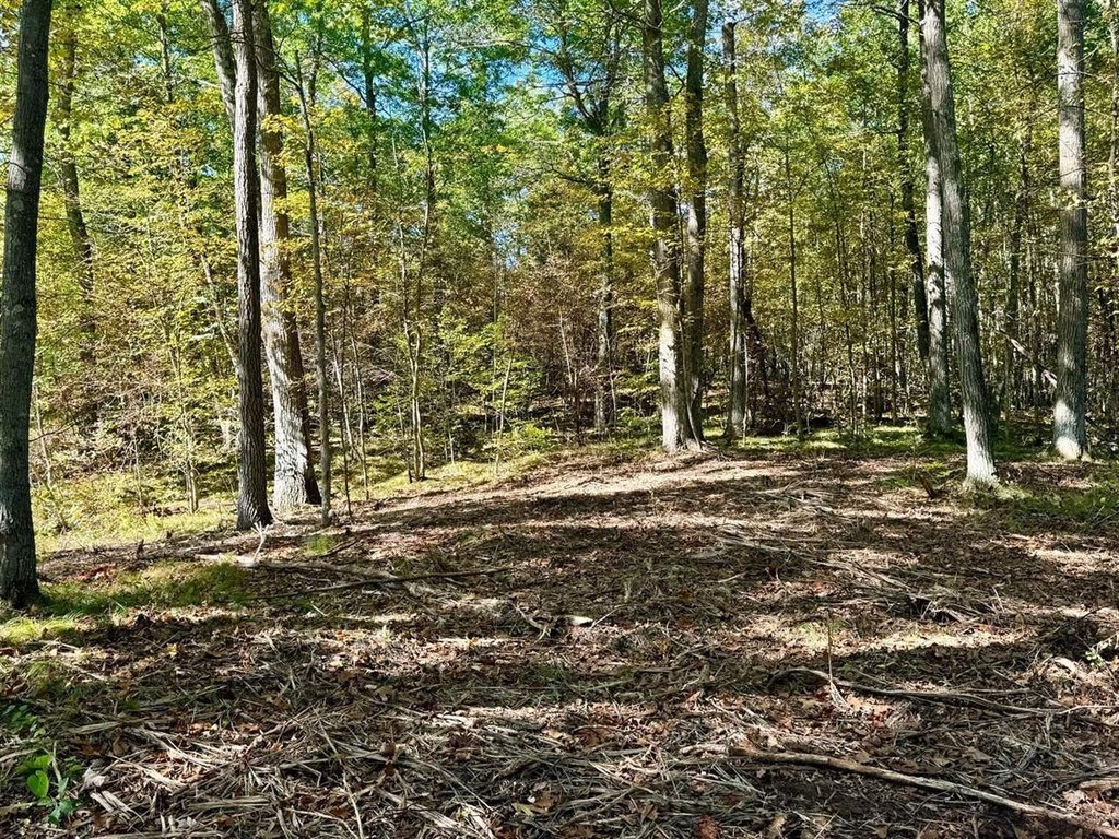 Picture 4