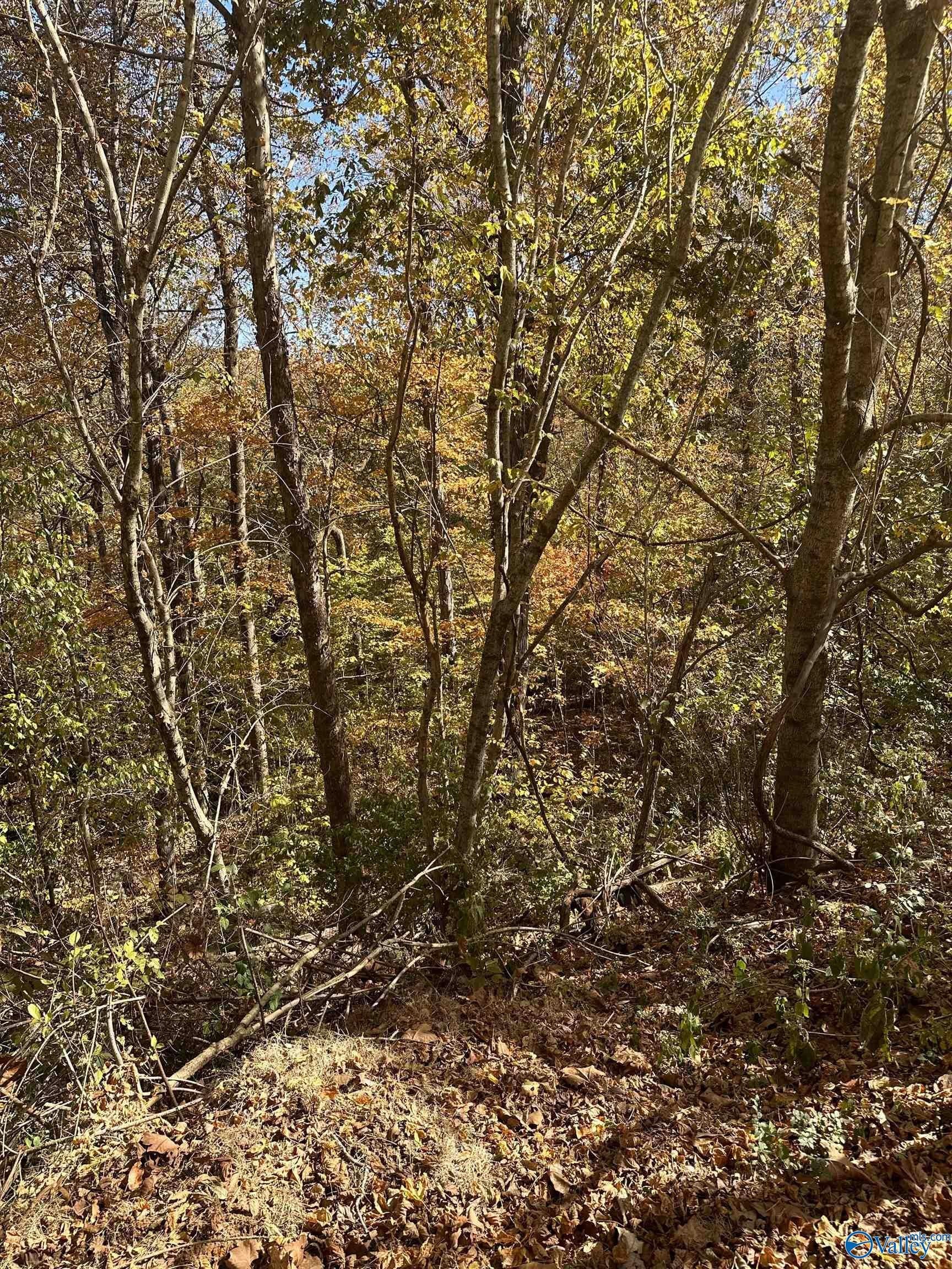 Residential Land in Legacy Preserve