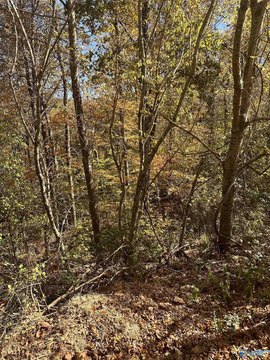 Residential Land in Legacy Preserve