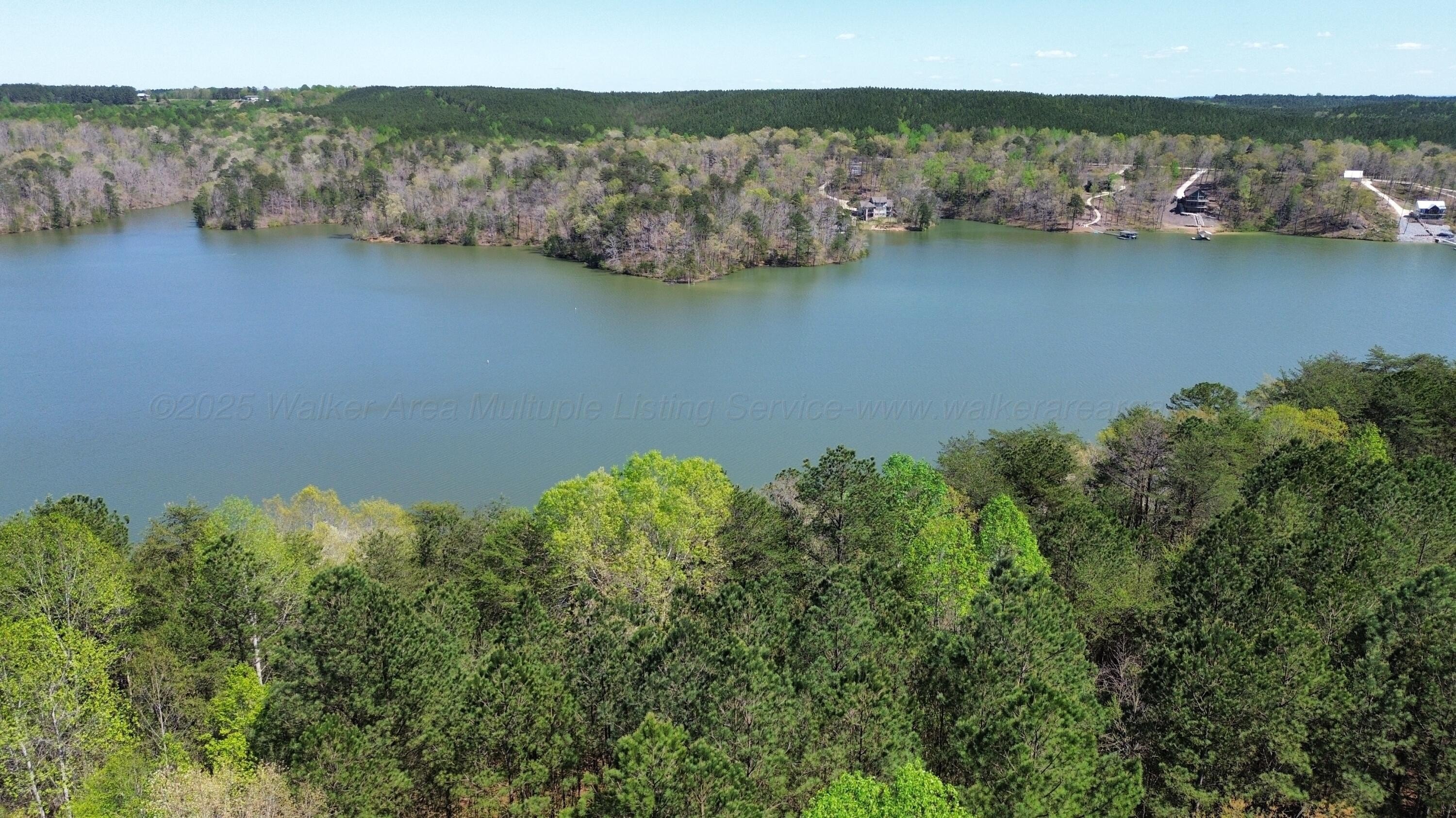 Arley, AL Waterfront Land