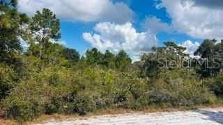 Land, INDIAN LAKE ESTATES, FL
