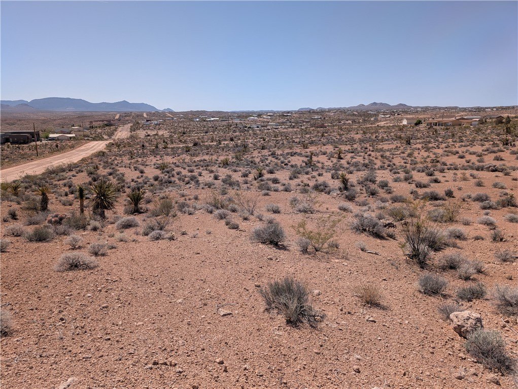 Picture 5