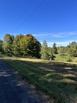 Lake Lot Near Jamestown, KY