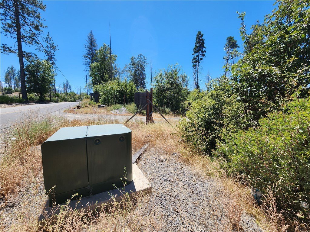 Picture 3