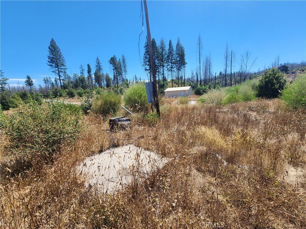 Picture 18