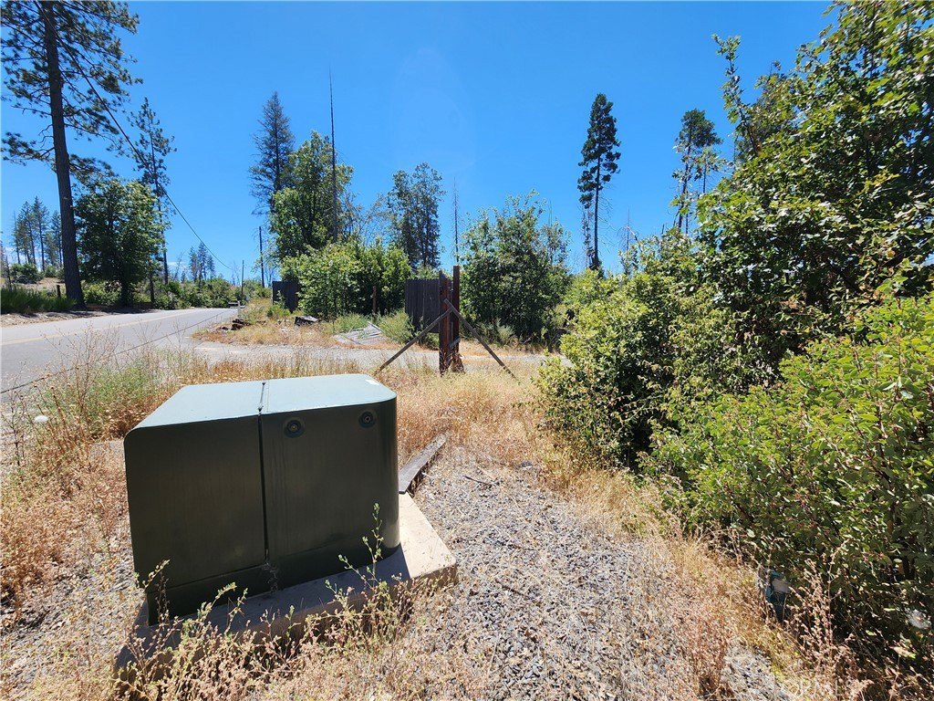 Picture 4