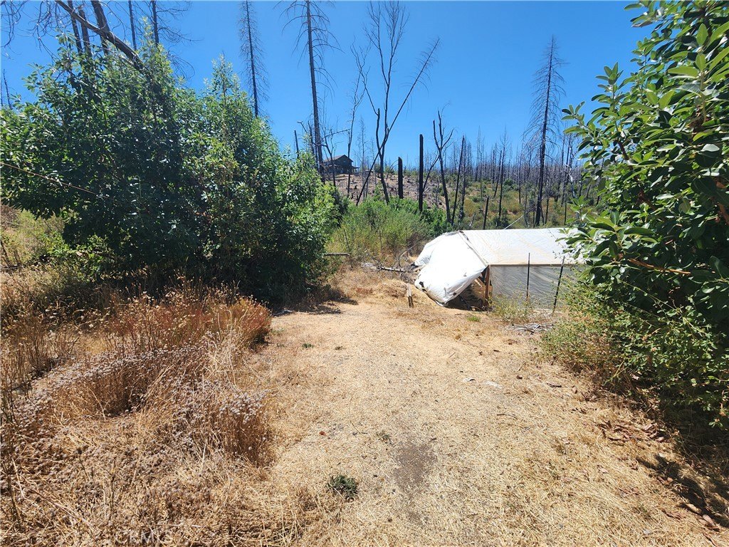 Picture 21