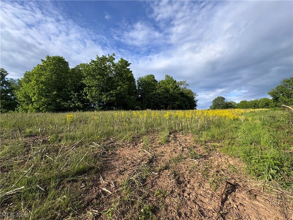 Stockport, OH Wooded Acreage