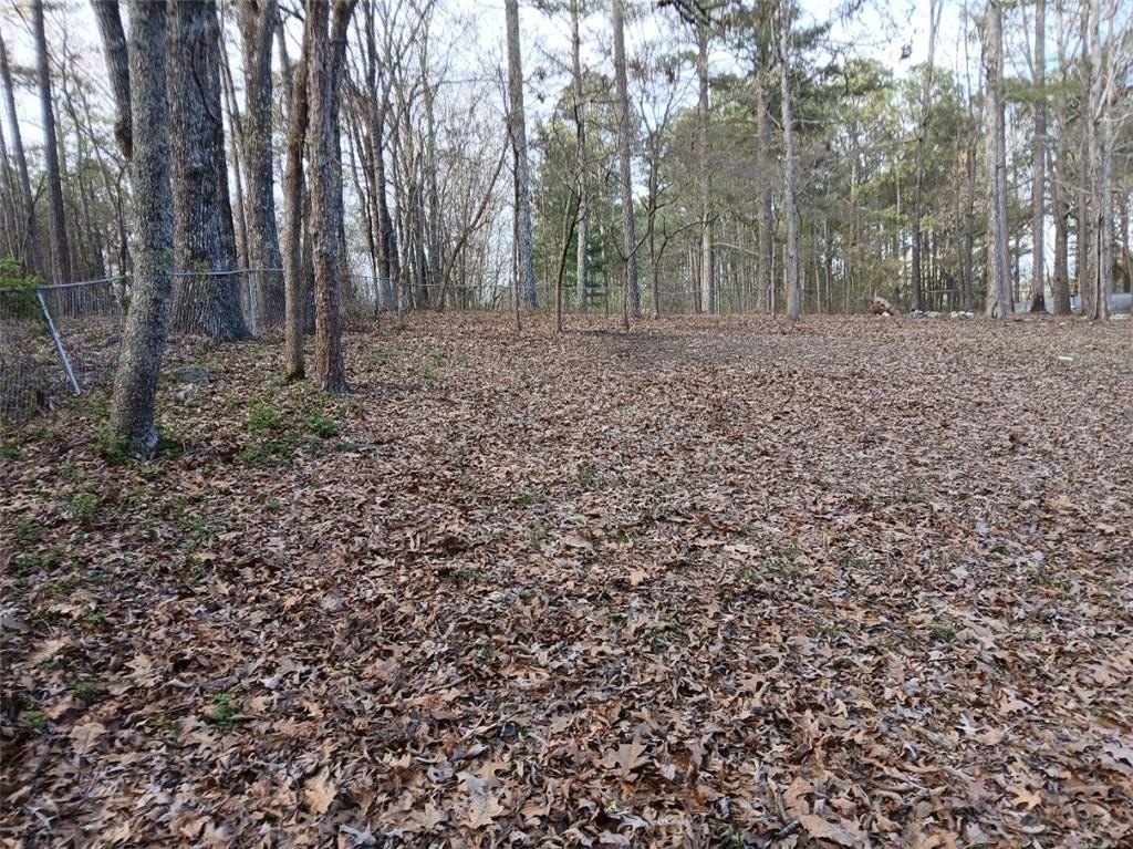 Picture 9