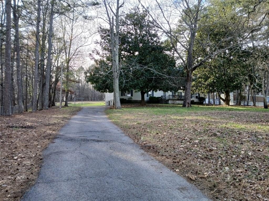 Picture 6