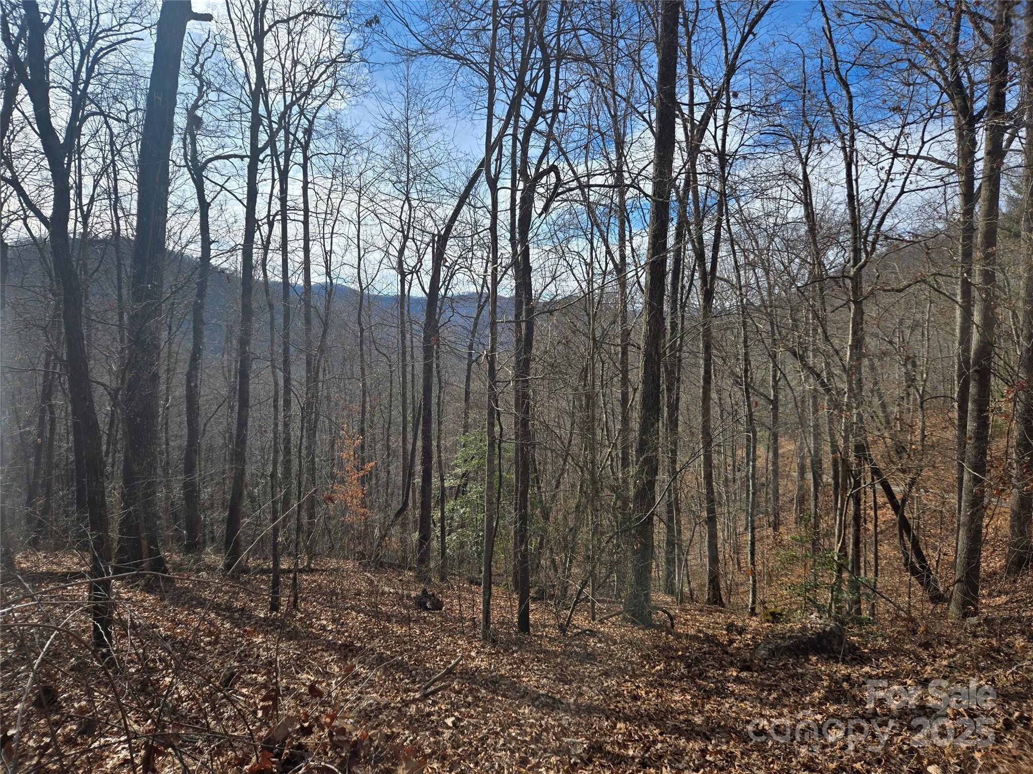 Tuckasegee Land with Sunset Views