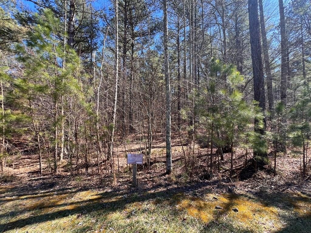 4.35 Acres in Gated Community
