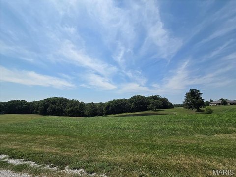 LAND - Silex, MO