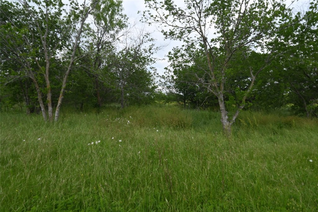 Picture 13