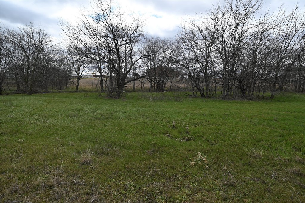 Picture 9