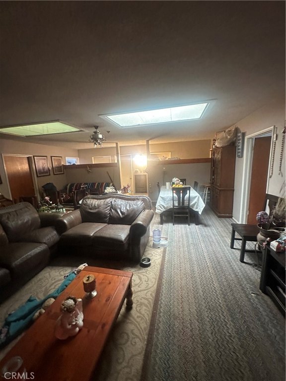 Picture 33