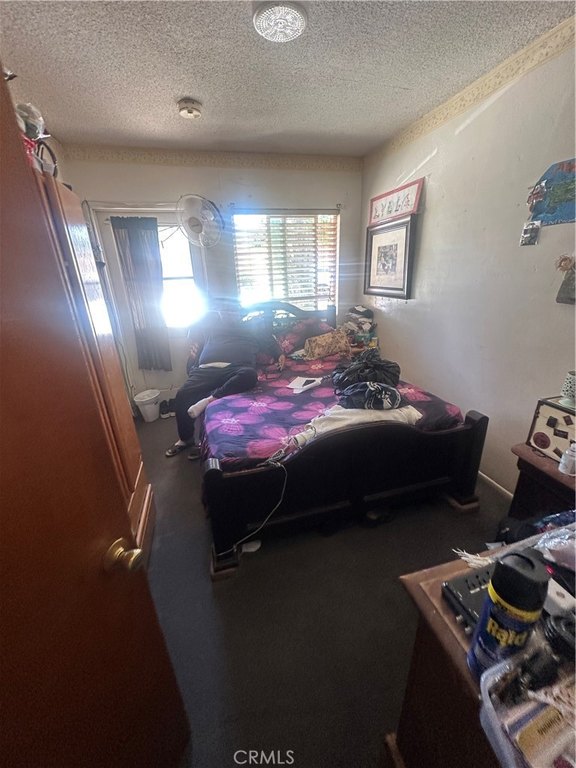 Picture 29