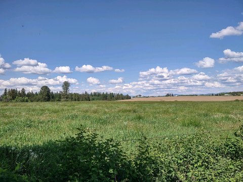 Deer Park 17-Acre Land Parcel