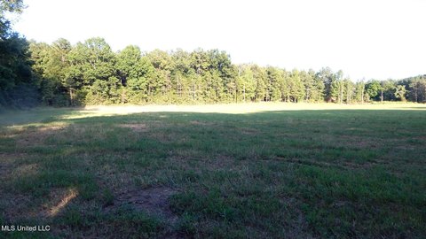 21.53 Acres of Hunting Land