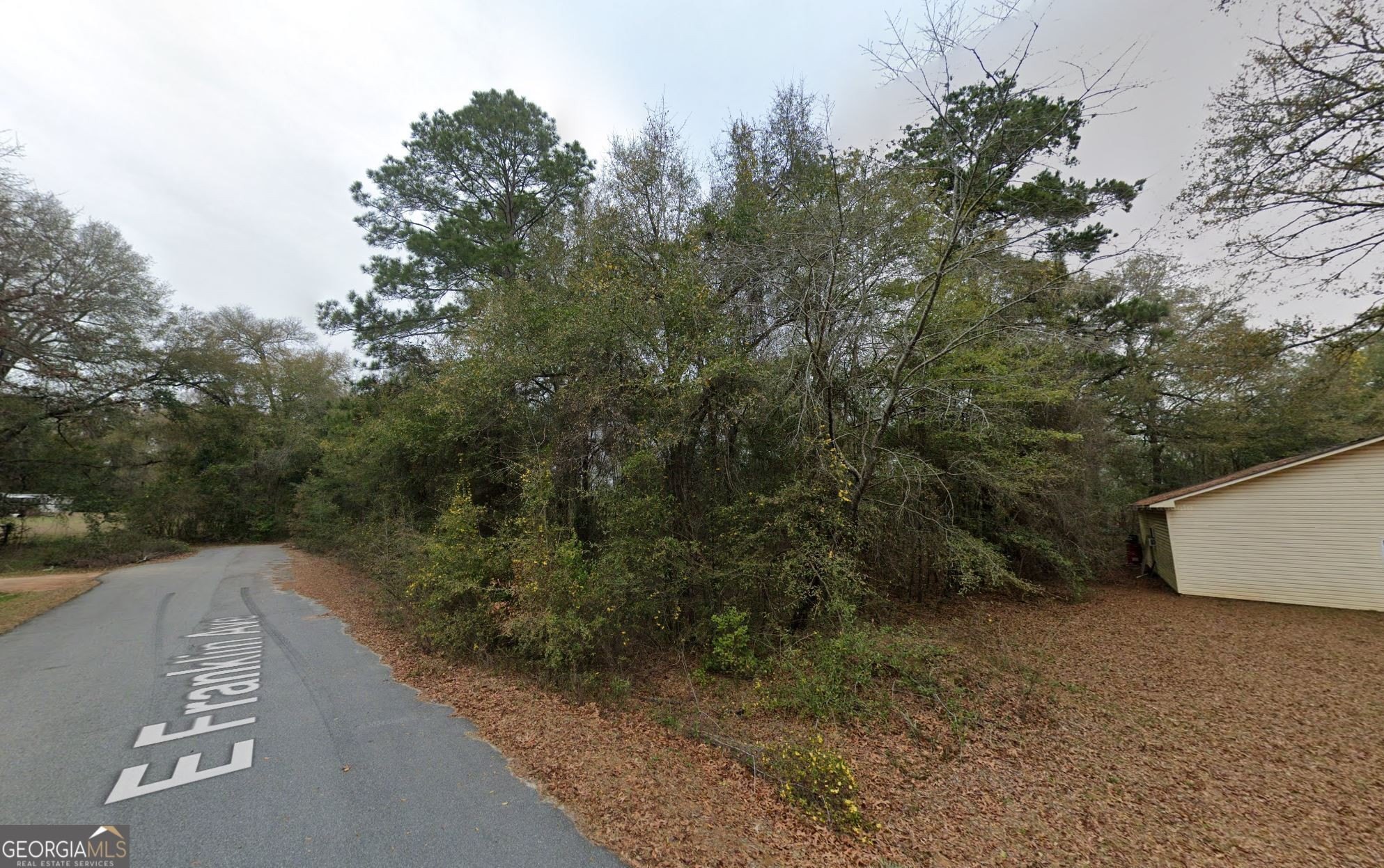 Land in Hawkinsville, Georgia