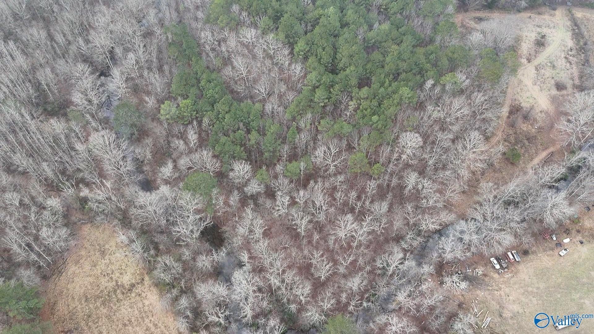21 Acres of Land, Oneonta
