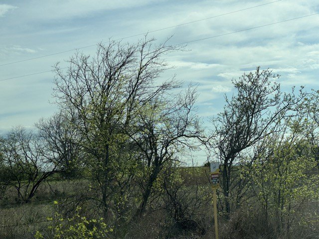 Picture 3