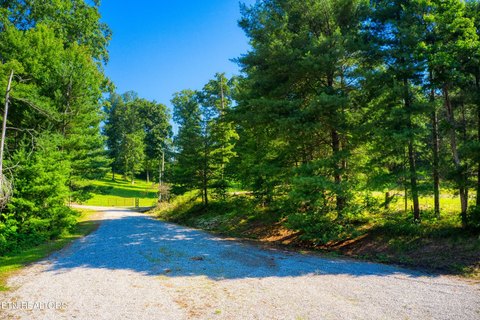 Land Near Big South Fork